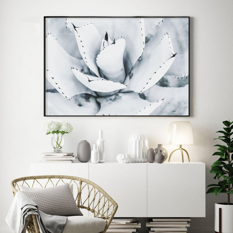 Succulent B&W Art Print-PRINT-Olive et Oriel-Olive et Oriel-Buy-Australian-Art-Prints-Online-with-Olive-et-Oriel-Your-Artwork-Specialists-Austrailia-Decorate-With-Coastal-Photo-Wall-Art-Prints-From-Our-Beach-House-Artwork-Collection-Fine-Poster-and-Framed-Artwork