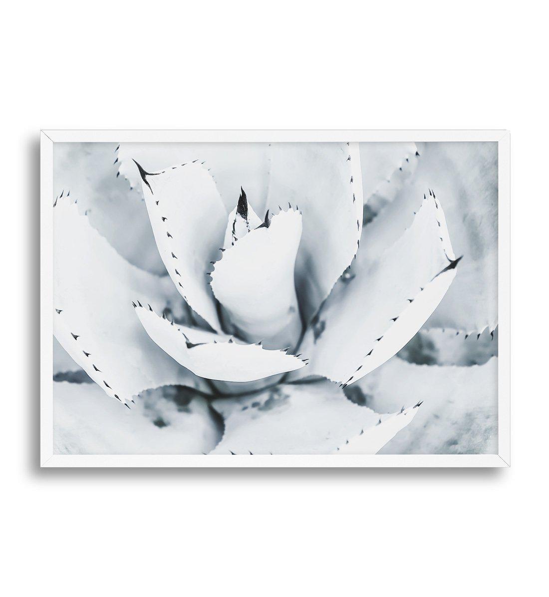 Succulent B&W Art Print-PRINT-Olive et Oriel-Olive et Oriel-A5 | 5.8" x 8.3" | 14.8 x 21cm-White-With White Border-Buy-Australian-Art-Prints-Online-with-Olive-et-Oriel-Your-Artwork-Specialists-Austrailia-Decorate-With-Coastal-Photo-Wall-Art-Prints-From-Our-Beach-House-Artwork-Collection-Fine-Poster-and-Framed-Artwork