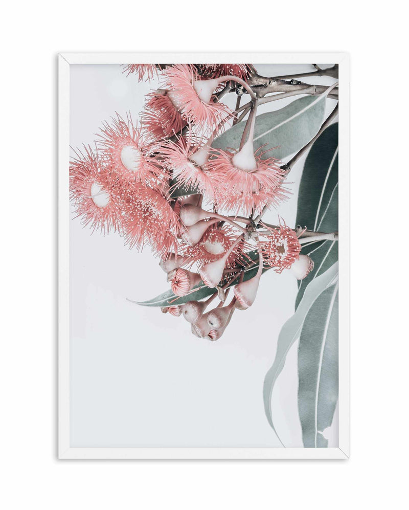 Summer Eucalyptus Art Print-PRINT-Olive et Oriel-Olive et Oriel-A5 | 5.8" x 8.3" | 14.8 x 21cm-White-With White Border-Buy-Australian-Art-Prints-Online-with-Olive-et-Oriel-Your-Artwork-Specialists-Austrailia-Decorate-With-Coastal-Photo-Wall-Art-Prints-From-Our-Beach-House-Artwork-Collection-Fine-Poster-and-Framed-Artwork