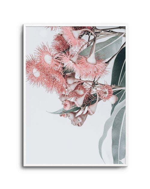 Summer Eucalyptus Art Print-PRINT-Olive et Oriel-Olive et Oriel-A5 | 5.8" x 8.3" | 14.8 x 21cm-Unframed Art Print-With White Border-Buy-Australian-Art-Prints-Online-with-Olive-et-Oriel-Your-Artwork-Specialists-Austrailia-Decorate-With-Coastal-Photo-Wall-Art-Prints-From-Our-Beach-House-Artwork-Collection-Fine-Poster-and-Framed-Artwork