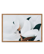 Summer Magnolia | LS Art Print-PRINT-Olive et Oriel-Olive et Oriel-50x70 cm | 19.6" x 27.5"-Walnut-With White Border-Buy-Australian-Art-Prints-Online-with-Olive-et-Oriel-Your-Artwork-Specialists-Austrailia-Decorate-With-Coastal-Photo-Wall-Art-Prints-From-Our-Beach-House-Artwork-Collection-Fine-Poster-and-Framed-Artwork