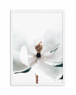 Summer Magnolia | PT Art Print-PRINT-Olive et Oriel-Olive et Oriel-A5 | 5.8" x 8.3" | 14.8 x 21cm-White-With White Border-Buy-Australian-Art-Prints-Online-with-Olive-et-Oriel-Your-Artwork-Specialists-Austrailia-Decorate-With-Coastal-Photo-Wall-Art-Prints-From-Our-Beach-House-Artwork-Collection-Fine-Poster-and-Framed-Artwork
