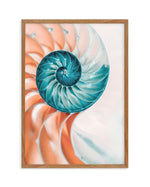 Summer Nautilus Art Print-PRINT-Olive et Oriel-Olive et Oriel-50x70 cm | 19.6" x 27.5"-Walnut-With White Border-Buy-Australian-Art-Prints-Online-with-Olive-et-Oriel-Your-Artwork-Specialists-Austrailia-Decorate-With-Coastal-Photo-Wall-Art-Prints-From-Our-Beach-House-Artwork-Collection-Fine-Poster-and-Framed-Artwork