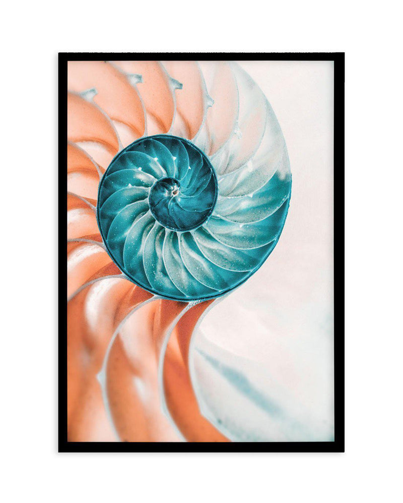 Summer Nautilus Art Print-PRINT-Olive et Oriel-Olive et Oriel-A4 | 8.3" x 11.7" | 21 x 29.7cm-Black-With White Border-Buy-Australian-Art-Prints-Online-with-Olive-et-Oriel-Your-Artwork-Specialists-Austrailia-Decorate-With-Coastal-Photo-Wall-Art-Prints-From-Our-Beach-House-Artwork-Collection-Fine-Poster-and-Framed-Artwork