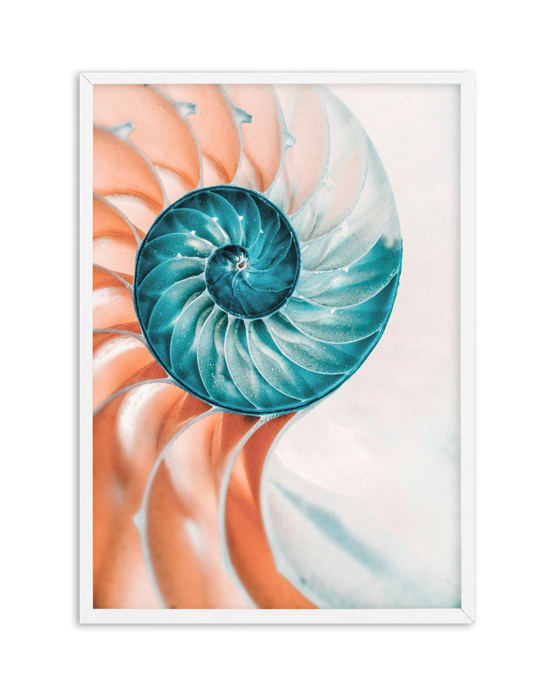 Summer Nautilus Art Print-PRINT-Olive et Oriel-Olive et Oriel-A4 | 8.3" x 11.7" | 21 x 29.7cm-White-With White Border-Buy-Australian-Art-Prints-Online-with-Olive-et-Oriel-Your-Artwork-Specialists-Austrailia-Decorate-With-Coastal-Photo-Wall-Art-Prints-From-Our-Beach-House-Artwork-Collection-Fine-Poster-and-Framed-Artwork