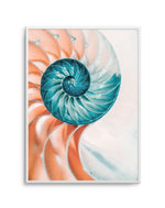Summer Nautilus Art Print-PRINT-Olive et Oriel-Olive et Oriel-A4 | 8.3" x 11.7" | 21 x 29.7cm-Unframed Art Print-With White Border-Buy-Australian-Art-Prints-Online-with-Olive-et-Oriel-Your-Artwork-Specialists-Austrailia-Decorate-With-Coastal-Photo-Wall-Art-Prints-From-Our-Beach-House-Artwork-Collection-Fine-Poster-and-Framed-Artwork