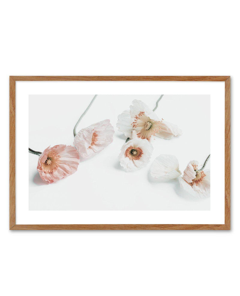 Summer Poppies I | LS Art Print-PRINT-Olive et Oriel-Olive et Oriel-50x70 cm | 19.6" x 27.5"-Walnut-With White Border-Buy-Australian-Art-Prints-Online-with-Olive-et-Oriel-Your-Artwork-Specialists-Austrailia-Decorate-With-Coastal-Photo-Wall-Art-Prints-From-Our-Beach-House-Artwork-Collection-Fine-Poster-and-Framed-Artwork