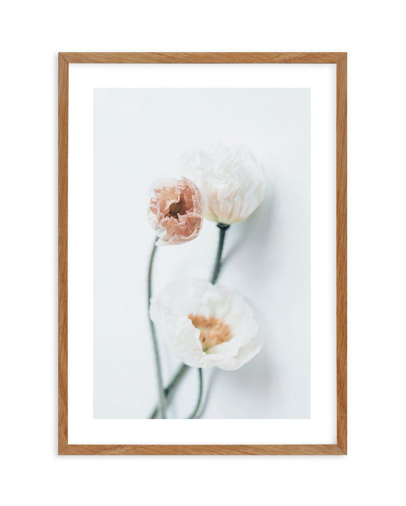 Summer Poppies I | PT Art Print-PRINT-Olive et Oriel-Olive et Oriel-50x70 cm | 19.6" x 27.5"-Walnut-With White Border-Buy-Australian-Art-Prints-Online-with-Olive-et-Oriel-Your-Artwork-Specialists-Austrailia-Decorate-With-Coastal-Photo-Wall-Art-Prints-From-Our-Beach-House-Artwork-Collection-Fine-Poster-and-Framed-Artwork