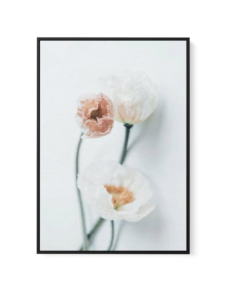 Summer Poppies I | PT | Framed Canvas-CANVAS-You can shop wall art online with Olive et Oriel for everything from abstract art to fun kids wall art. Our beautiful modern art prints and canvas art are available from large canvas prints to wall art paintings and our proudly Australian artwork collection offers only the highest quality framed large wall art and canvas art Australia - You can buy fashion photography prints or Hampton print posters and paintings on canvas from Olive et Oriel and have