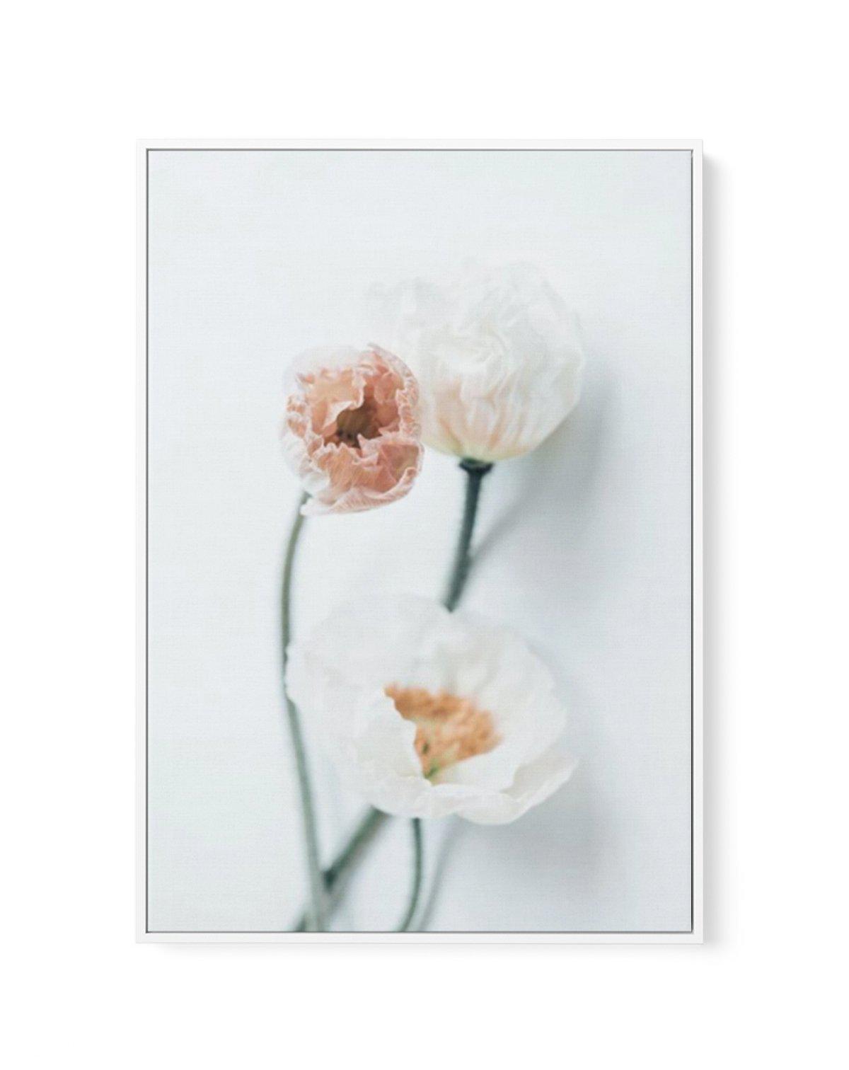 Summer Poppies I | PT | Framed Canvas-CANVAS-You can shop wall art online with Olive et Oriel for everything from abstract art to fun kids wall art. Our beautiful modern art prints and canvas art are available from large canvas prints to wall art paintings and our proudly Australian artwork collection offers only the highest quality framed large wall art and canvas art Australia - You can buy fashion photography prints or Hampton print posters and paintings on canvas from Olive et Oriel and have