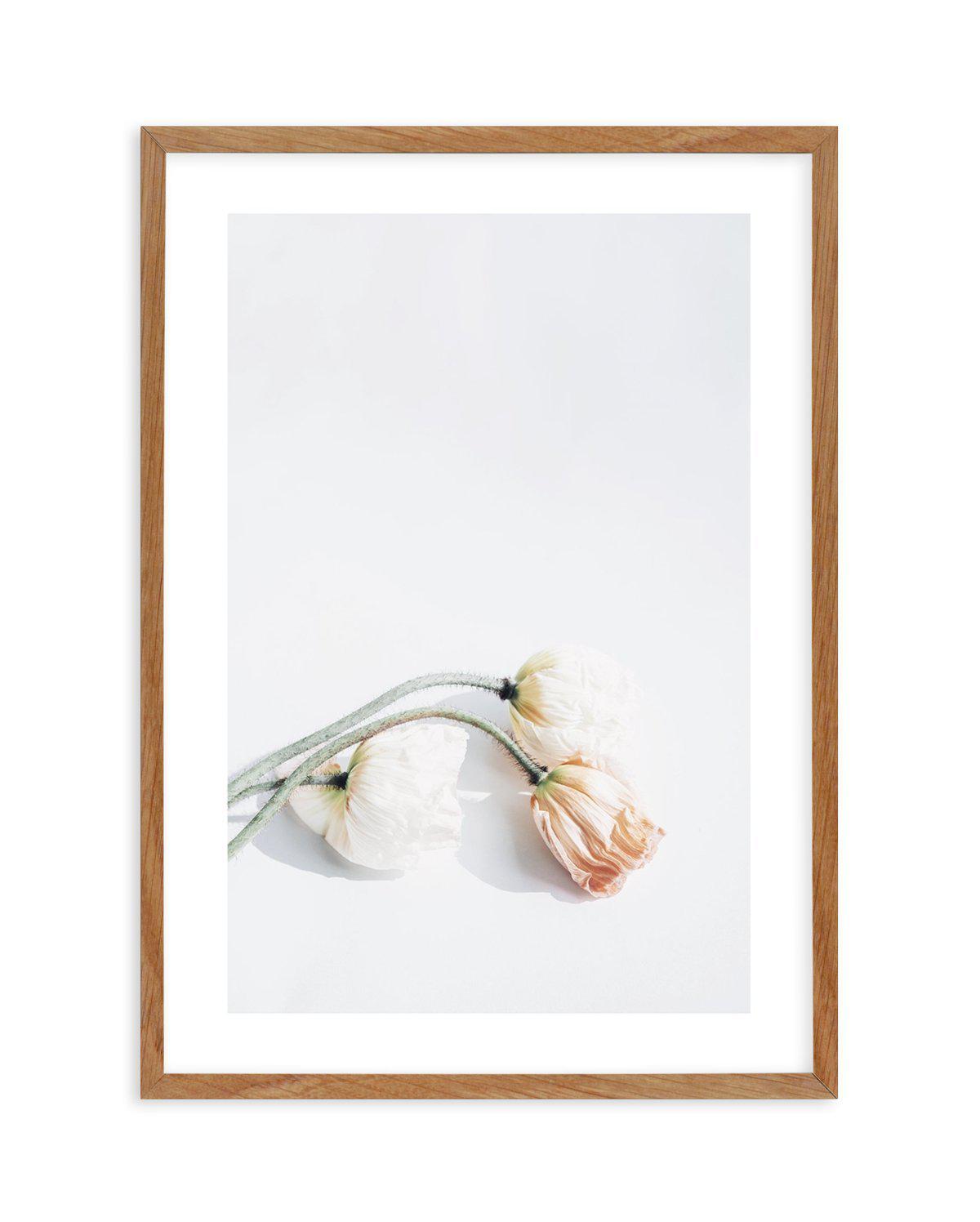 Summer Poppies II | PT Art Print-PRINT-Olive et Oriel-Olive et Oriel-50x70 cm | 19.6" x 27.5"-Walnut-With White Border-Buy-Australian-Art-Prints-Online-with-Olive-et-Oriel-Your-Artwork-Specialists-Austrailia-Decorate-With-Coastal-Photo-Wall-Art-Prints-From-Our-Beach-House-Artwork-Collection-Fine-Poster-and-Framed-Artwork