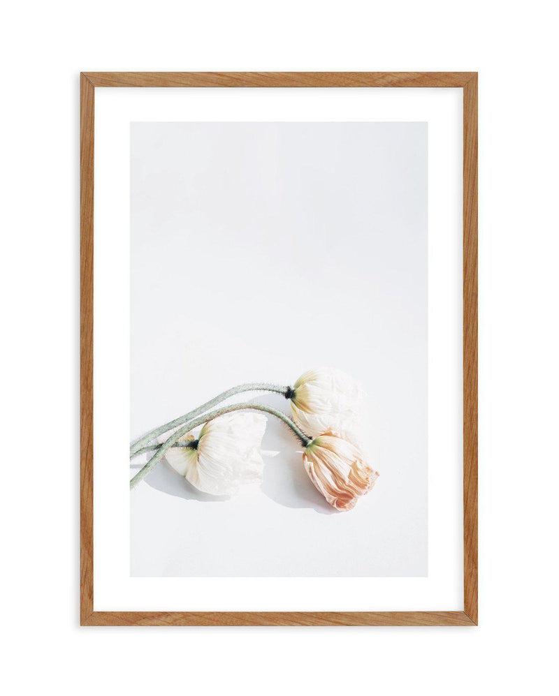 Summer Poppies II | PT Art Print-PRINT-Olive et Oriel-Olive et Oriel-50x70 cm | 19.6" x 27.5"-Walnut-With White Border-Buy-Australian-Art-Prints-Online-with-Olive-et-Oriel-Your-Artwork-Specialists-Austrailia-Decorate-With-Coastal-Photo-Wall-Art-Prints-From-Our-Beach-House-Artwork-Collection-Fine-Poster-and-Framed-Artwork