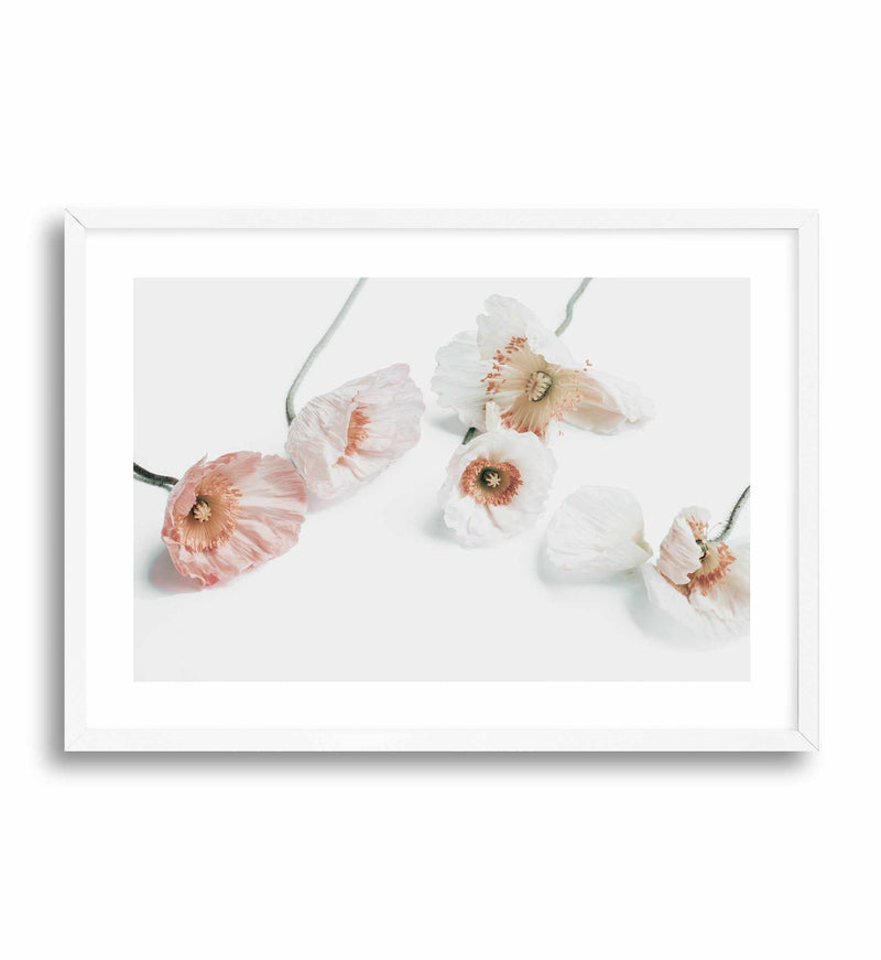 Summer Poppies I | LS Art Print-PRINT-Olive et Oriel-Olive et Oriel-A5 | 5.8" x 8.3" | 14.8 x 21cm-White-With White Border-Buy-Australian-Art-Prints-Online-with-Olive-et-Oriel-Your-Artwork-Specialists-Austrailia-Decorate-With-Coastal-Photo-Wall-Art-Prints-From-Our-Beach-House-Artwork-Collection-Fine-Poster-and-Framed-Artwork