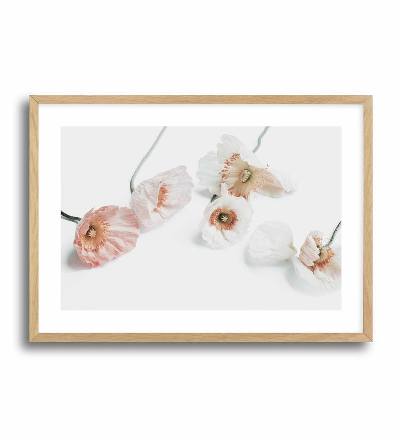 Summer Poppies I | LS Art Print-PRINT-Olive et Oriel-Olive et Oriel-A5 | 5.8" x 8.3" | 14.8 x 21cm-Oak-With White Border-Buy-Australian-Art-Prints-Online-with-Olive-et-Oriel-Your-Artwork-Specialists-Austrailia-Decorate-With-Coastal-Photo-Wall-Art-Prints-From-Our-Beach-House-Artwork-Collection-Fine-Poster-and-Framed-Artwork