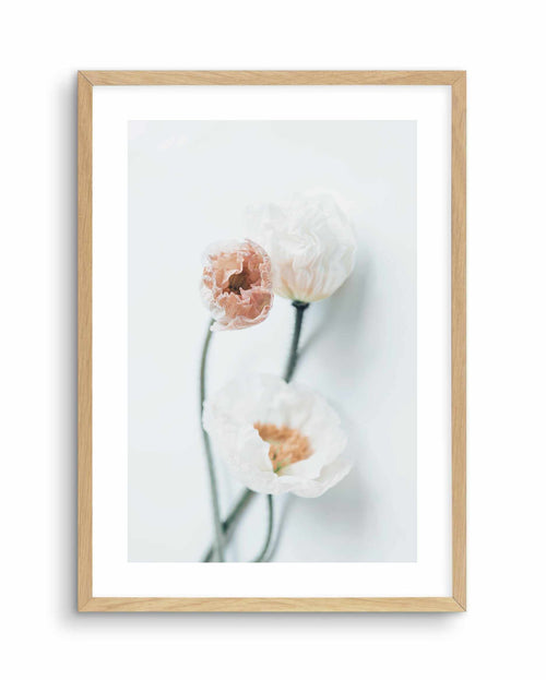 Summer Poppies I | PT Art Print-PRINT-Olive et Oriel-Olive et Oriel-A5 | 5.8" x 8.3" | 14.8 x 21cm-Oak-With White Border-Buy-Australian-Art-Prints-Online-with-Olive-et-Oriel-Your-Artwork-Specialists-Austrailia-Decorate-With-Coastal-Photo-Wall-Art-Prints-From-Our-Beach-House-Artwork-Collection-Fine-Poster-and-Framed-Artwork