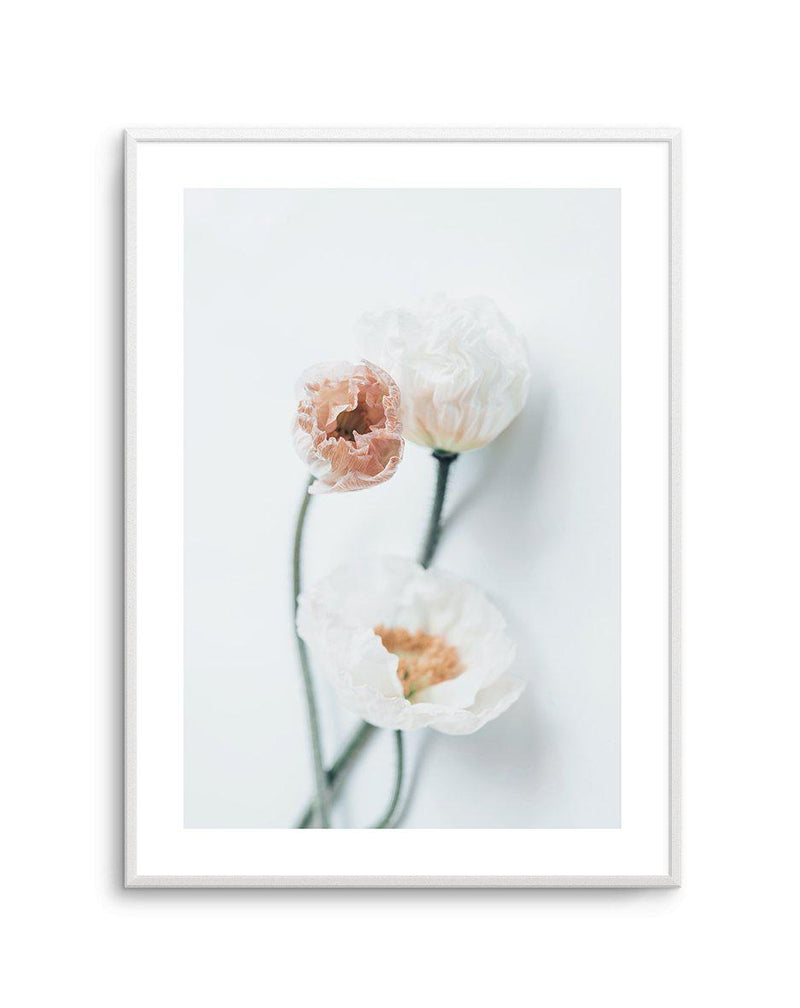 Summer Poppies I | PT Art Print-PRINT-Olive et Oriel-Olive et Oriel-A5 | 5.8" x 8.3" | 14.8 x 21cm-Unframed Art Print-With White Border-Buy-Australian-Art-Prints-Online-with-Olive-et-Oriel-Your-Artwork-Specialists-Austrailia-Decorate-With-Coastal-Photo-Wall-Art-Prints-From-Our-Beach-House-Artwork-Collection-Fine-Poster-and-Framed-Artwork