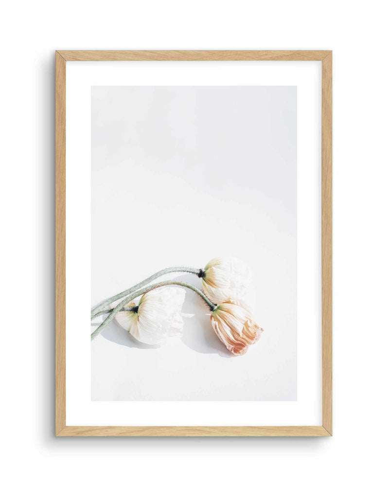 Summer Poppies II | PT Art Print-PRINT-Olive et Oriel-Olive et Oriel-A5 | 5.8" x 8.3" | 14.8 x 21cm-Oak-With White Border-Buy-Australian-Art-Prints-Online-with-Olive-et-Oriel-Your-Artwork-Specialists-Austrailia-Decorate-With-Coastal-Photo-Wall-Art-Prints-From-Our-Beach-House-Artwork-Collection-Fine-Poster-and-Framed-Artwork