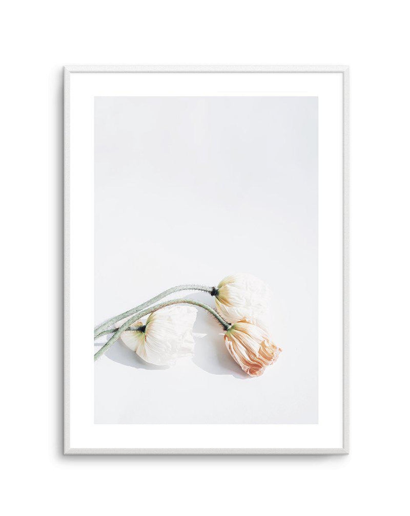 Summer Poppies II | PT Art Print-PRINT-Olive et Oriel-Olive et Oriel-A5 | 5.8" x 8.3" | 14.8 x 21cm-Unframed Art Print-With White Border-Buy-Australian-Art-Prints-Online-with-Olive-et-Oriel-Your-Artwork-Specialists-Austrailia-Decorate-With-Coastal-Photo-Wall-Art-Prints-From-Our-Beach-House-Artwork-Collection-Fine-Poster-and-Framed-Artwork