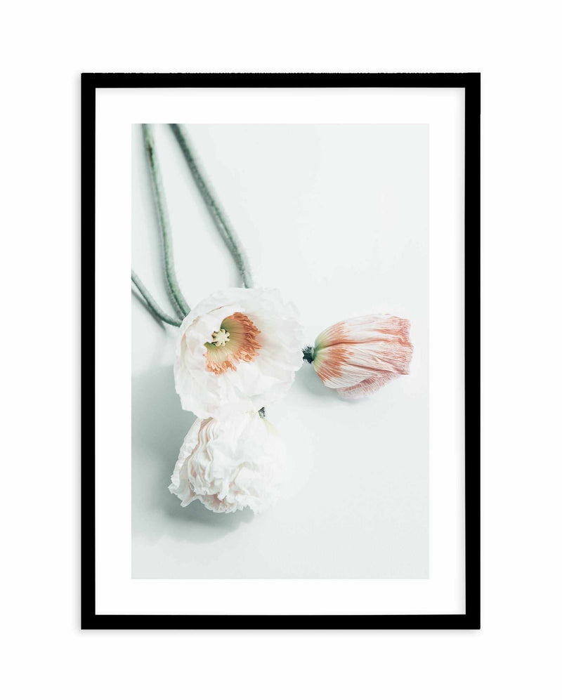 Summer Poppies III Art Print-PRINT-Olive et Oriel-Olive et Oriel-A5 | 5.8" x 8.3" | 14.8 x 21cm-Black-With White Border-Buy-Australian-Art-Prints-Online-with-Olive-et-Oriel-Your-Artwork-Specialists-Austrailia-Decorate-With-Coastal-Photo-Wall-Art-Prints-From-Our-Beach-House-Artwork-Collection-Fine-Poster-and-Framed-Artwork