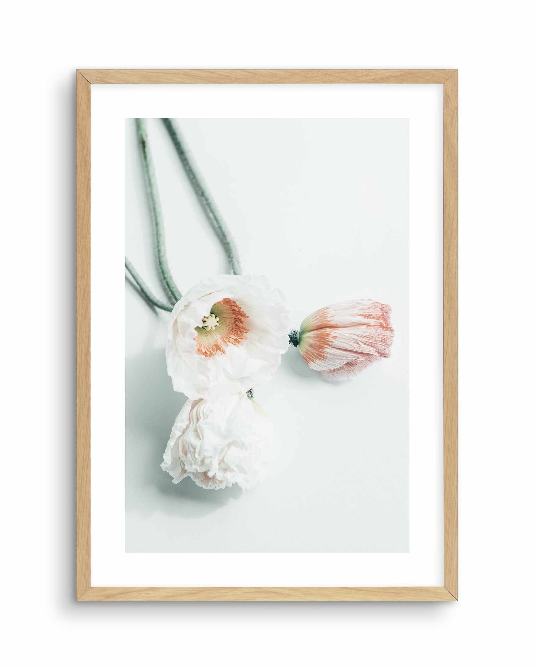 Summer Poppies III Art Print-PRINT-Olive et Oriel-Olive et Oriel-A5 | 5.8" x 8.3" | 14.8 x 21cm-Oak-With White Border-Buy-Australian-Art-Prints-Online-with-Olive-et-Oriel-Your-Artwork-Specialists-Austrailia-Decorate-With-Coastal-Photo-Wall-Art-Prints-From-Our-Beach-House-Artwork-Collection-Fine-Poster-and-Framed-Artwork