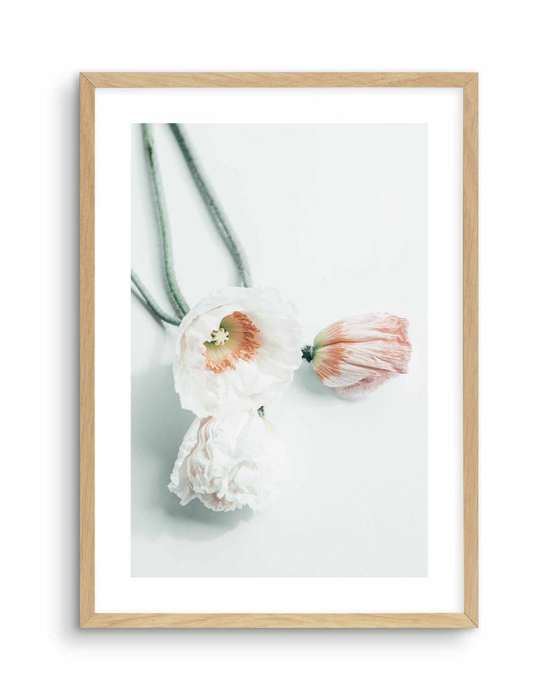 Summer Poppies III Art Print-PRINT-Olive et Oriel-Olive et Oriel-A5 | 5.8" x 8.3" | 14.8 x 21cm-Oak-With White Border-Buy-Australian-Art-Prints-Online-with-Olive-et-Oriel-Your-Artwork-Specialists-Austrailia-Decorate-With-Coastal-Photo-Wall-Art-Prints-From-Our-Beach-House-Artwork-Collection-Fine-Poster-and-Framed-Artwork