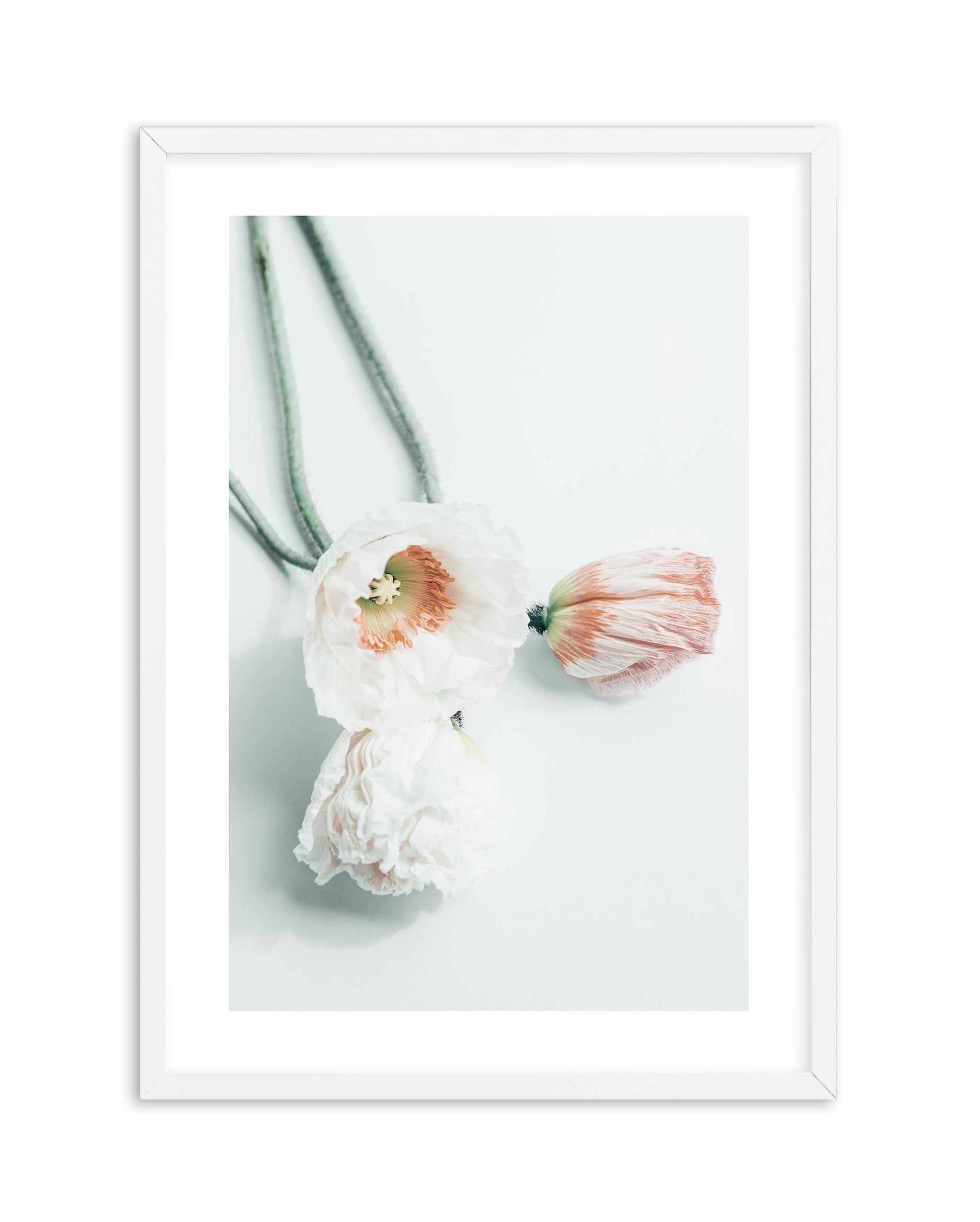 Summer Poppies III Art Print-PRINT-Olive et Oriel-Olive et Oriel-A5 | 5.8" x 8.3" | 14.8 x 21cm-White-With White Border-Buy-Australian-Art-Prints-Online-with-Olive-et-Oriel-Your-Artwork-Specialists-Austrailia-Decorate-With-Coastal-Photo-Wall-Art-Prints-From-Our-Beach-House-Artwork-Collection-Fine-Poster-and-Framed-Artwork