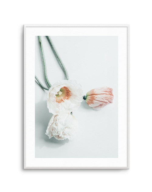 Summer Poppies III Art Print-PRINT-Olive et Oriel-Olive et Oriel-A5 | 5.8" x 8.3" | 14.8 x 21cm-Unframed Art Print-With White Border-Buy-Australian-Art-Prints-Online-with-Olive-et-Oriel-Your-Artwork-Specialists-Austrailia-Decorate-With-Coastal-Photo-Wall-Art-Prints-From-Our-Beach-House-Artwork-Collection-Fine-Poster-and-Framed-Artwork