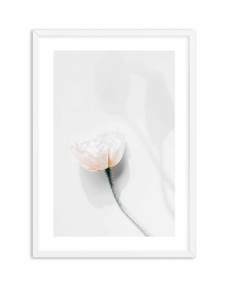 Summer Poppies IV Art Print-PRINT-Olive et Oriel-Olive et Oriel-A5 | 5.8" x 8.3" | 14.8 x 21cm-White-With White Border-Buy-Australian-Art-Prints-Online-with-Olive-et-Oriel-Your-Artwork-Specialists-Austrailia-Decorate-With-Coastal-Photo-Wall-Art-Prints-From-Our-Beach-House-Artwork-Collection-Fine-Poster-and-Framed-Artwork