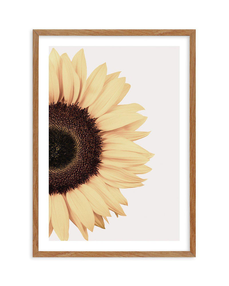 Sunflower Art Print-PRINT-Olive et Oriel-Olive et Oriel-Buy-Australian-Art-Prints-Online-with-Olive-et-Oriel-Your-Artwork-Specialists-Austrailia-Decorate-With-Coastal-Photo-Wall-Art-Prints-From-Our-Beach-House-Artwork-Collection-Fine-Poster-and-Framed-Artwork