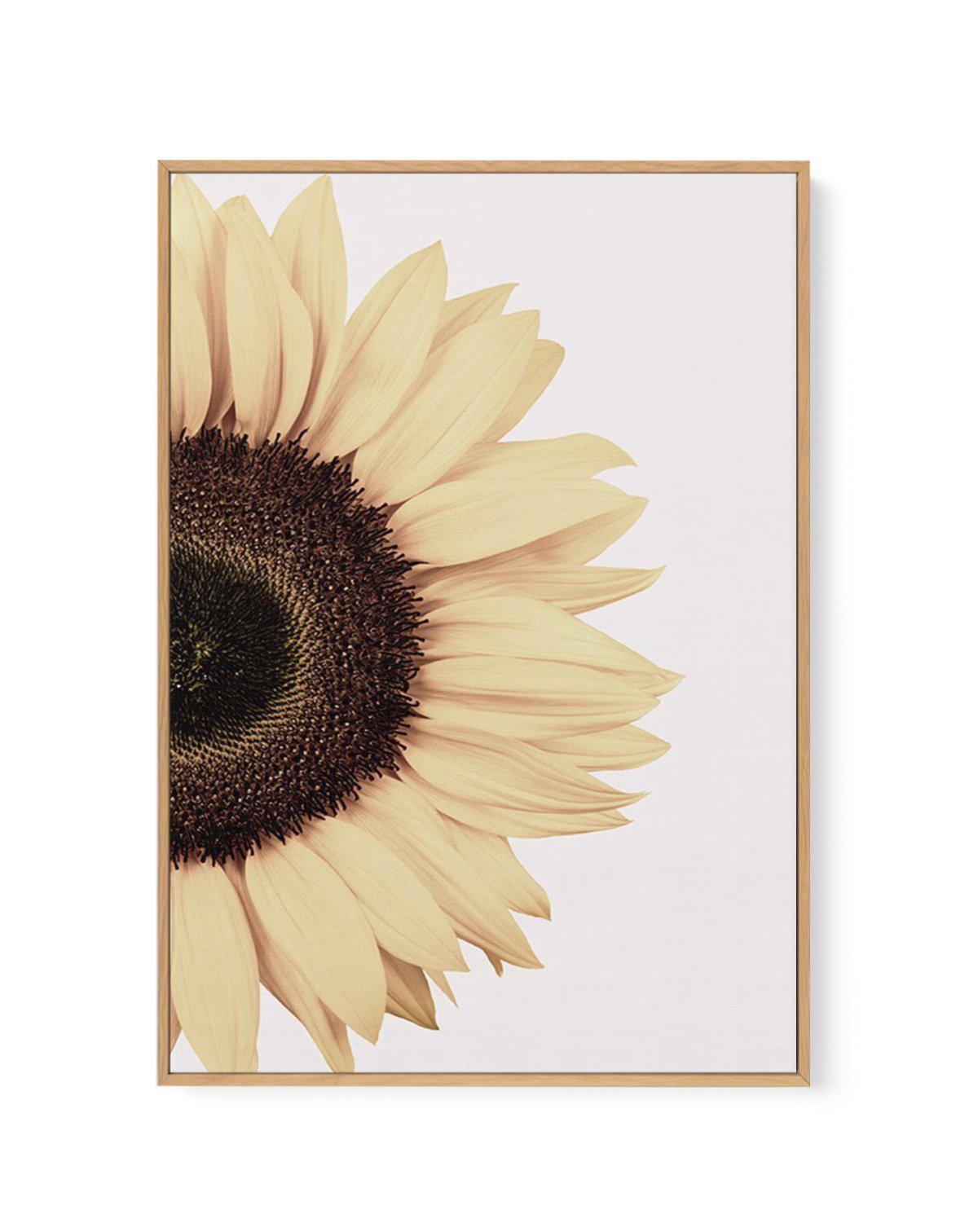 Sunflower | Framed Canvas-CANVAS-You can shop wall art online with Olive et Oriel for everything from abstract art to fun kids wall art. Our beautiful modern art prints and canvas art are available from large canvas prints to wall art paintings and our proudly Australian artwork collection offers only the highest quality framed large wall art and canvas art Australia - You can buy fashion photography prints or Hampton print posters and paintings on canvas from Olive et Oriel and have them delive