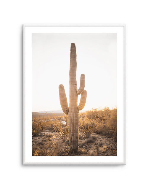 Sunset Cactus Art Print-PRINT-Olive et Oriel-Olive et Oriel-A5 | 5.8" x 8.3" | 14.8 x 21cm-Unframed Art Print-With White Border-Buy-Australian-Art-Prints-Online-with-Olive-et-Oriel-Your-Artwork-Specialists-Austrailia-Decorate-With-Coastal-Photo-Wall-Art-Prints-From-Our-Beach-House-Artwork-Collection-Fine-Poster-and-Framed-Artwork