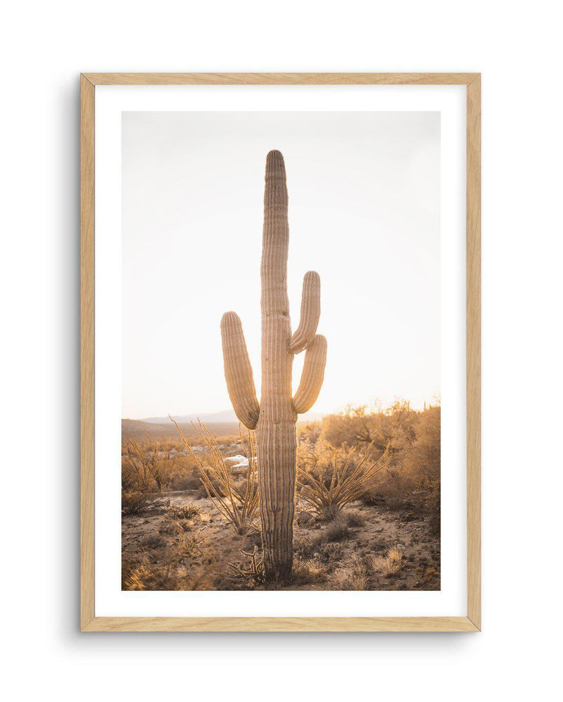 Sunset Cactus Art Print-PRINT-Olive et Oriel-Olive et Oriel-A5 | 5.8" x 8.3" | 14.8 x 21cm-Oak-With White Border-Buy-Australian-Art-Prints-Online-with-Olive-et-Oriel-Your-Artwork-Specialists-Austrailia-Decorate-With-Coastal-Photo-Wall-Art-Prints-From-Our-Beach-House-Artwork-Collection-Fine-Poster-and-Framed-Artwork