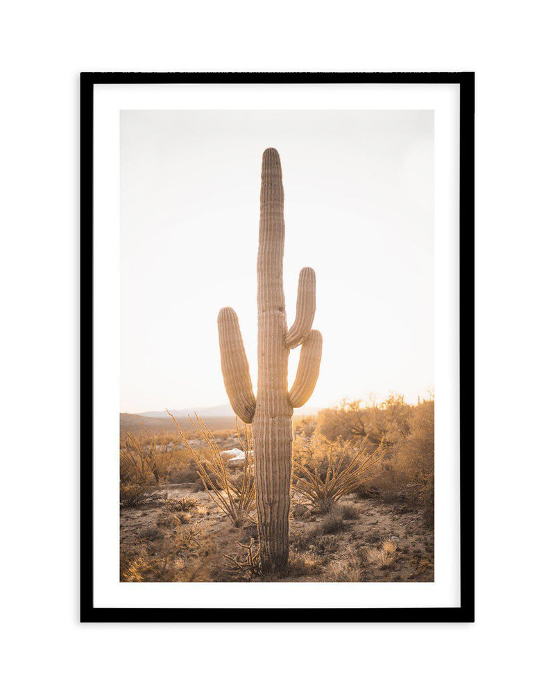 Sunset Cactus Art Print-PRINT-Olive et Oriel-Olive et Oriel-A5 | 5.8" x 8.3" | 14.8 x 21cm-Black-With White Border-Buy-Australian-Art-Prints-Online-with-Olive-et-Oriel-Your-Artwork-Specialists-Austrailia-Decorate-With-Coastal-Photo-Wall-Art-Prints-From-Our-Beach-House-Artwork-Collection-Fine-Poster-and-Framed-Artwork