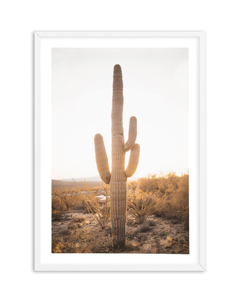Sunset Cactus Art Print-PRINT-Olive et Oriel-Olive et Oriel-A5 | 5.8" x 8.3" | 14.8 x 21cm-White-With White Border-Buy-Australian-Art-Prints-Online-with-Olive-et-Oriel-Your-Artwork-Specialists-Austrailia-Decorate-With-Coastal-Photo-Wall-Art-Prints-From-Our-Beach-House-Artwork-Collection-Fine-Poster-and-Framed-Artwork