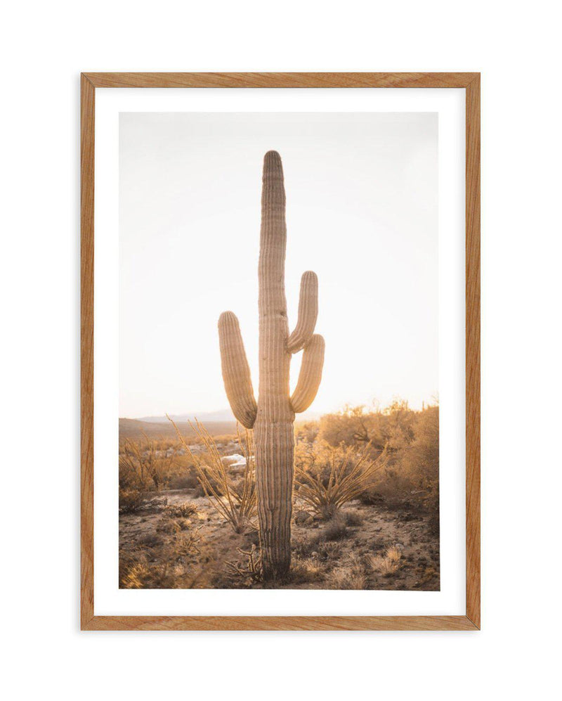 Sunset Cactus Art Print-PRINT-Olive et Oriel-Olive et Oriel-50x70 cm | 19.6" x 27.5"-Walnut-With White Border-Buy-Australian-Art-Prints-Online-with-Olive-et-Oriel-Your-Artwork-Specialists-Austrailia-Decorate-With-Coastal-Photo-Wall-Art-Prints-From-Our-Beach-House-Artwork-Collection-Fine-Poster-and-Framed-Artwork