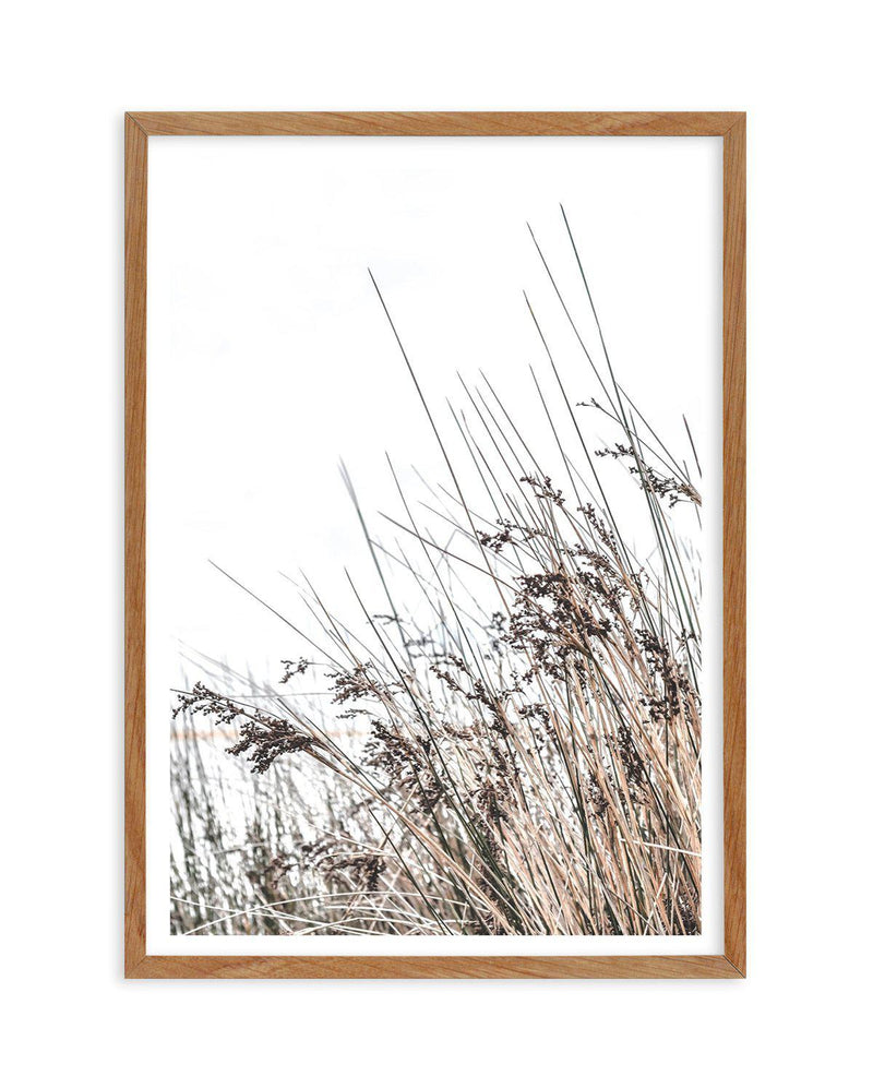 The Coast Art Print-PRINT-Olive et Oriel-Olive et Oriel-50x70 cm | 19.6" x 27.5"-Walnut-With White Border-Buy-Australian-Art-Prints-Online-with-Olive-et-Oriel-Your-Artwork-Specialists-Austrailia-Decorate-With-Coastal-Photo-Wall-Art-Prints-From-Our-Beach-House-Artwork-Collection-Fine-Poster-and-Framed-Artwork