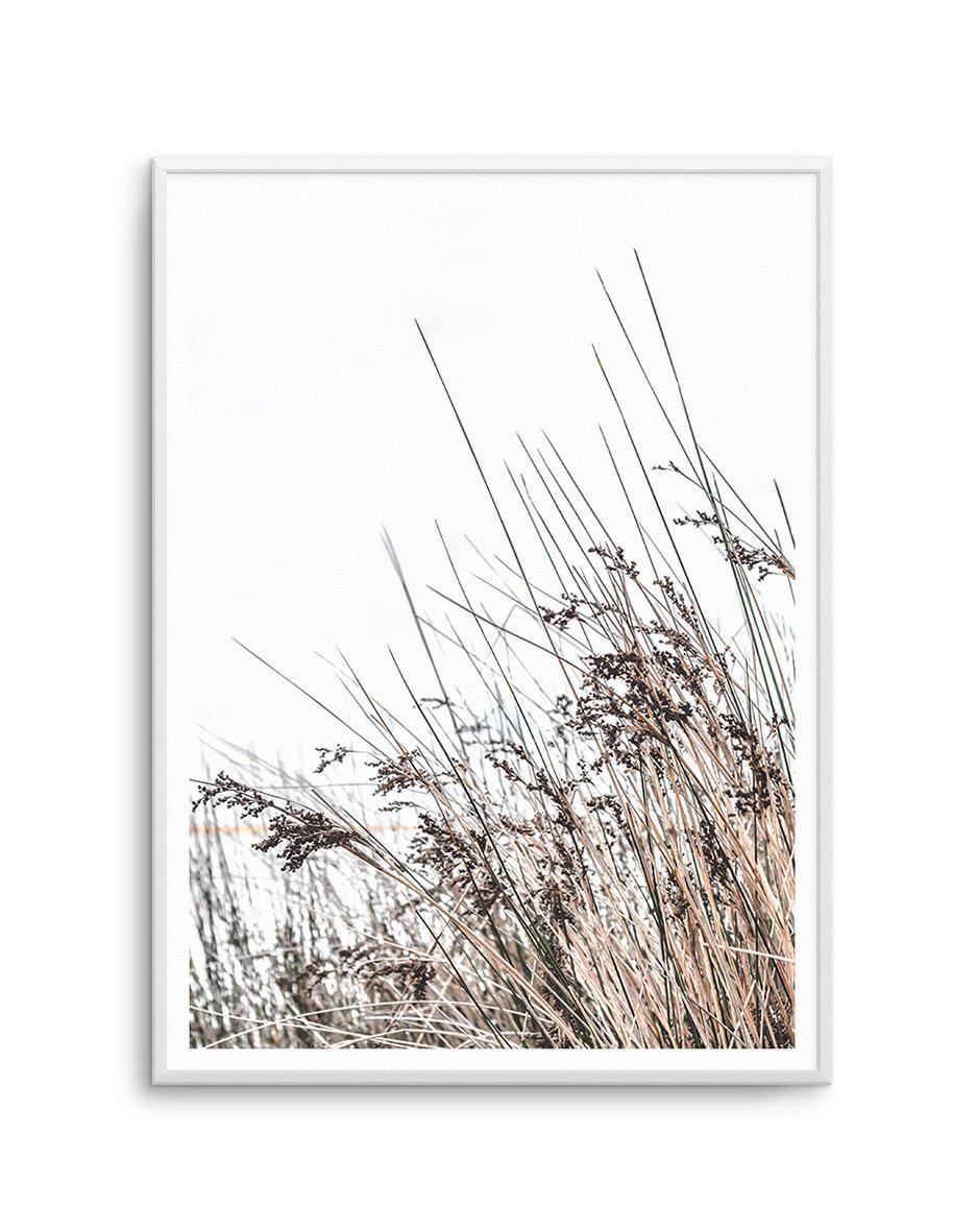 The Coast Art Print-PRINT-Olive et Oriel-Olive et Oriel-A5 | 5.8" x 8.3" | 14.8 x 21cm-Unframed Art Print-With White Border-Buy-Australian-Art-Prints-Online-with-Olive-et-Oriel-Your-Artwork-Specialists-Austrailia-Decorate-With-Coastal-Photo-Wall-Art-Prints-From-Our-Beach-House-Artwork-Collection-Fine-Poster-and-Framed-Artwork