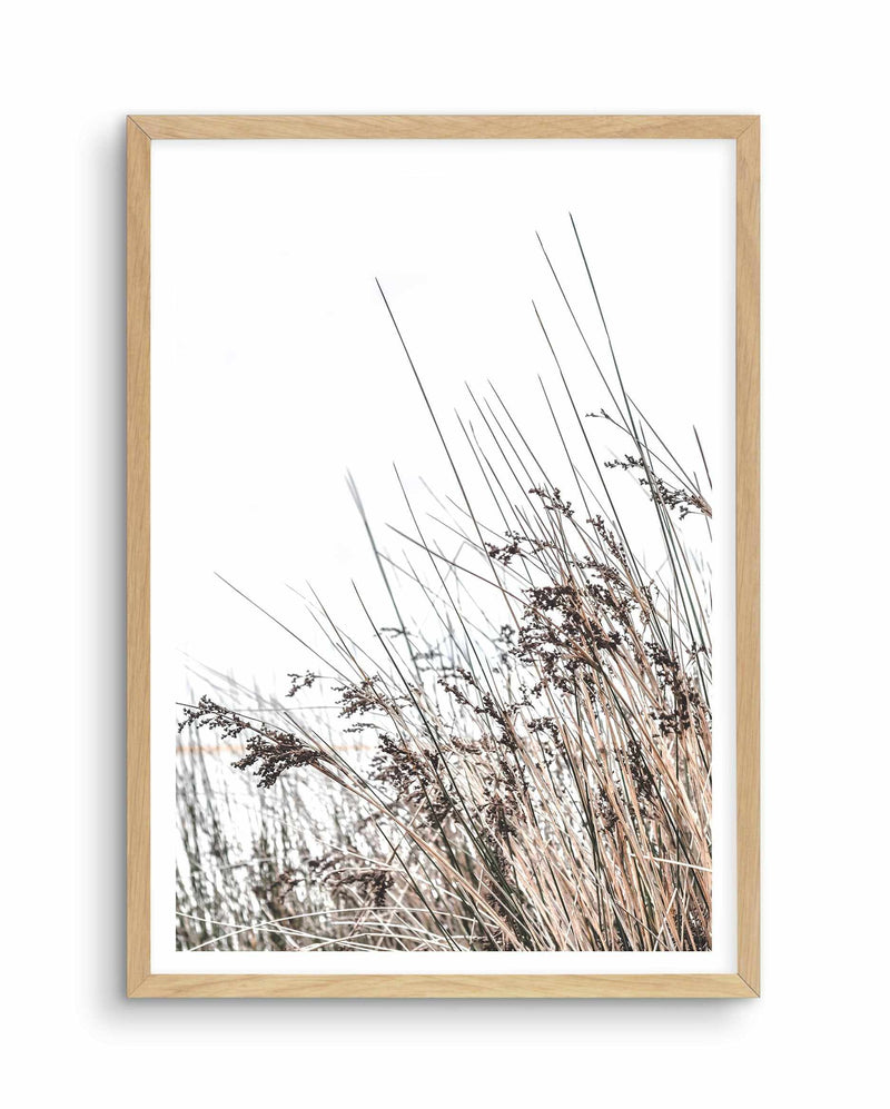 The Coast Art Print-PRINT-Olive et Oriel-Olive et Oriel-A5 | 5.8" x 8.3" | 14.8 x 21cm-Oak-With White Border-Buy-Australian-Art-Prints-Online-with-Olive-et-Oriel-Your-Artwork-Specialists-Austrailia-Decorate-With-Coastal-Photo-Wall-Art-Prints-From-Our-Beach-House-Artwork-Collection-Fine-Poster-and-Framed-Artwork