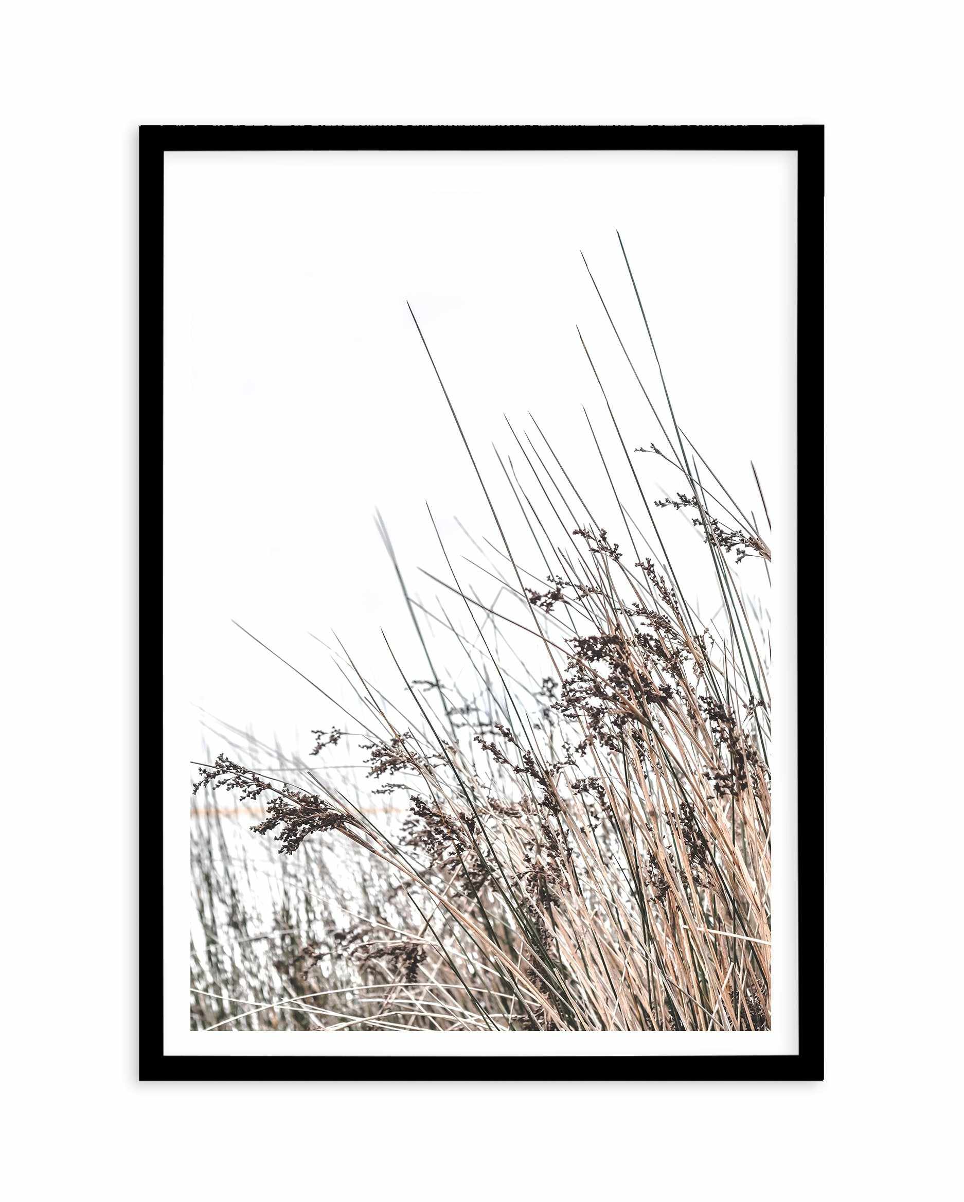 The Coast Art Print-PRINT-Olive et Oriel-Olive et Oriel-A5 | 5.8" x 8.3" | 14.8 x 21cm-Black-With White Border-Buy-Australian-Art-Prints-Online-with-Olive-et-Oriel-Your-Artwork-Specialists-Austrailia-Decorate-With-Coastal-Photo-Wall-Art-Prints-From-Our-Beach-House-Artwork-Collection-Fine-Poster-and-Framed-Artwork