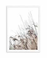 The Coast Art Print-PRINT-Olive et Oriel-Olive et Oriel-A5 | 5.8" x 8.3" | 14.8 x 21cm-White-With White Border-Buy-Australian-Art-Prints-Online-with-Olive-et-Oriel-Your-Artwork-Specialists-Austrailia-Decorate-With-Coastal-Photo-Wall-Art-Prints-From-Our-Beach-House-Artwork-Collection-Fine-Poster-and-Framed-Artwork