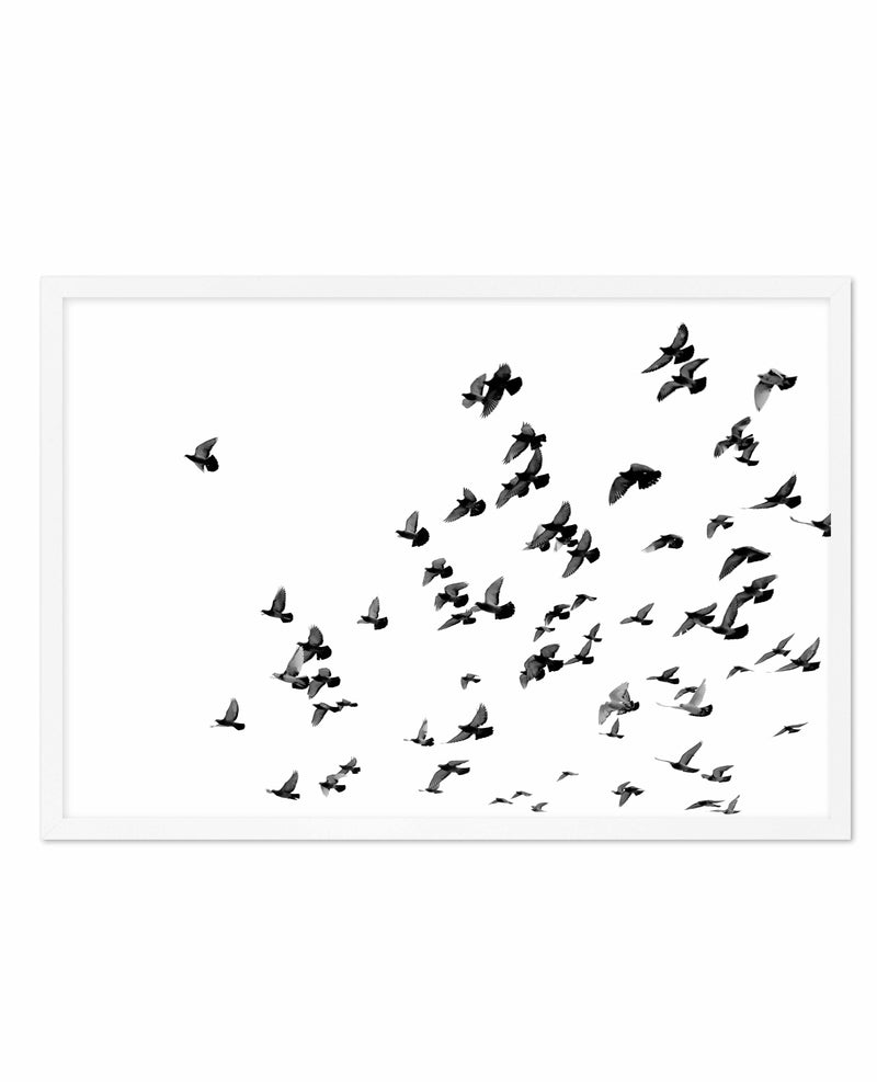 The Flight | LS Art Print-PRINT-Olive et Oriel-Olive et Oriel-A5 | 5.8" x 8.3" | 14.8 x 21cm-White-With White Border-Buy-Australian-Art-Prints-Online-with-Olive-et-Oriel-Your-Artwork-Specialists-Austrailia-Decorate-With-Coastal-Photo-Wall-Art-Prints-From-Our-Beach-House-Artwork-Collection-Fine-Poster-and-Framed-Artwork