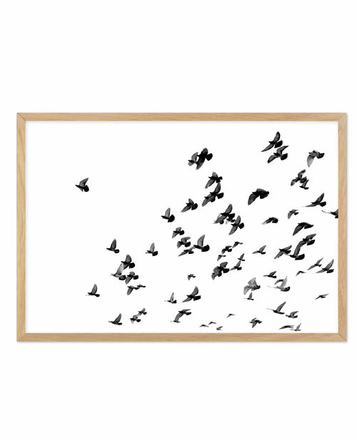 The Flight | LS Art Print-PRINT-Olive et Oriel-Olive et Oriel-A5 | 5.8" x 8.3" | 14.8 x 21cm-Oak-With White Border-Buy-Australian-Art-Prints-Online-with-Olive-et-Oriel-Your-Artwork-Specialists-Austrailia-Decorate-With-Coastal-Photo-Wall-Art-Prints-From-Our-Beach-House-Artwork-Collection-Fine-Poster-and-Framed-Artwork