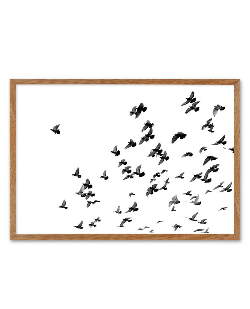 The Flight | LS Art Print-PRINT-Olive et Oriel-Olive et Oriel-50x70 cm | 19.6" x 27.5"-Walnut-With White Border-Buy-Australian-Art-Prints-Online-with-Olive-et-Oriel-Your-Artwork-Specialists-Austrailia-Decorate-With-Coastal-Photo-Wall-Art-Prints-From-Our-Beach-House-Artwork-Collection-Fine-Poster-and-Framed-Artwork