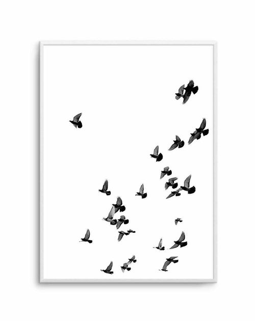 The Flight | PT Art Print-PRINT-Olive et Oriel-Olive et Oriel-A5 | 5.8" x 8.3" | 14.8 x 21cm-Unframed Art Print-With White Border-Buy-Australian-Art-Prints-Online-with-Olive-et-Oriel-Your-Artwork-Specialists-Austrailia-Decorate-With-Coastal-Photo-Wall-Art-Prints-From-Our-Beach-House-Artwork-Collection-Fine-Poster-and-Framed-Artwork