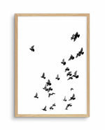 The Flight | PT Art Print-PRINT-Olive et Oriel-Olive et Oriel-A5 | 5.8" x 8.3" | 14.8 x 21cm-Oak-With White Border-Buy-Australian-Art-Prints-Online-with-Olive-et-Oriel-Your-Artwork-Specialists-Austrailia-Decorate-With-Coastal-Photo-Wall-Art-Prints-From-Our-Beach-House-Artwork-Collection-Fine-Poster-and-Framed-Artwork