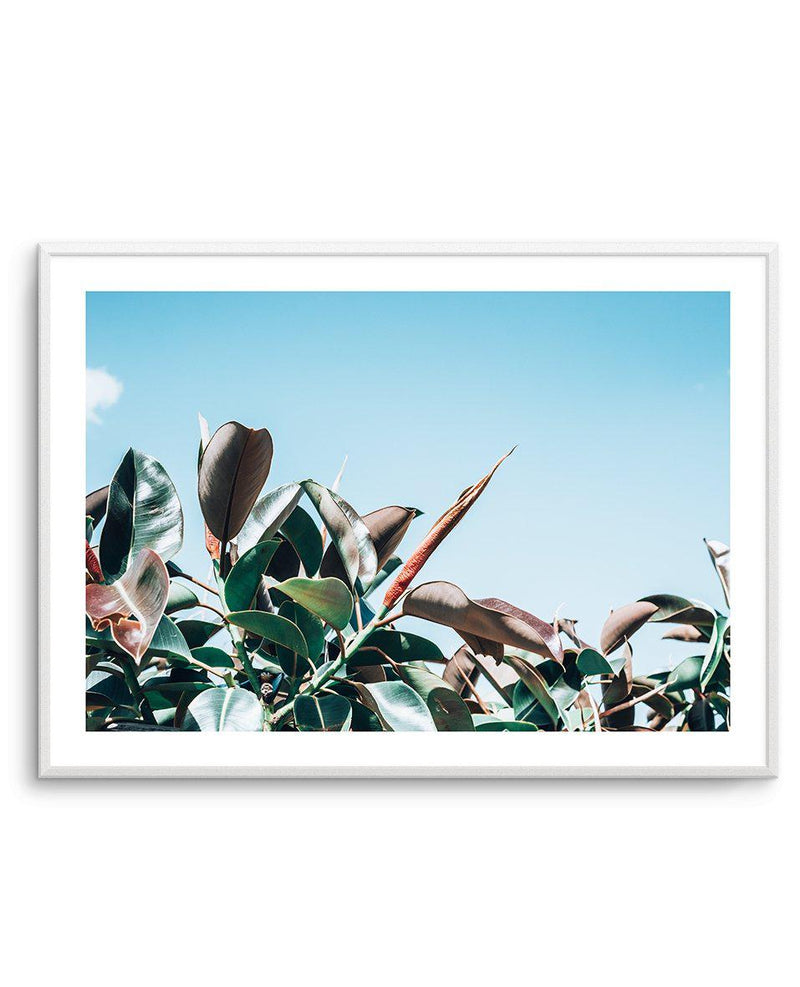 The Other Fig Art Print-PRINT-Olive et Oriel-Olive et Oriel-A4 | 8.3" x 11.7" | 21 x 29.7cm-Unframed Art Print-With White Border-Buy-Australian-Art-Prints-Online-with-Olive-et-Oriel-Your-Artwork-Specialists-Austrailia-Decorate-With-Coastal-Photo-Wall-Art-Prints-From-Our-Beach-House-Artwork-Collection-Fine-Poster-and-Framed-Artwork