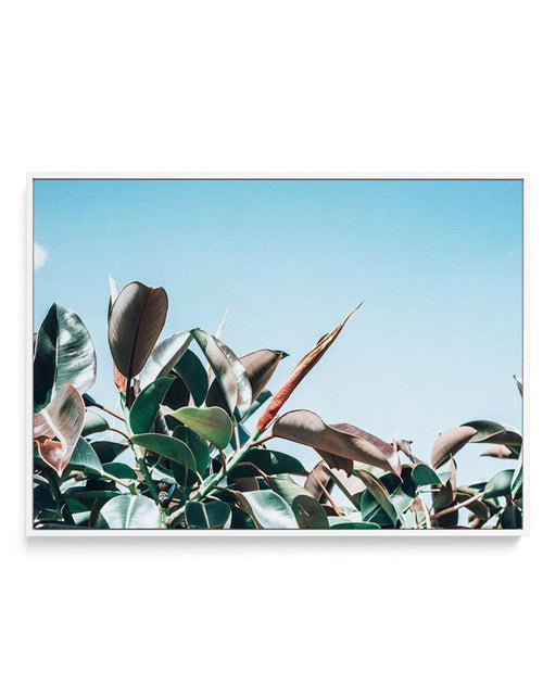 The Other Fig | Framed Canvas-CANVAS-You can shop wall art online with Olive et Oriel for everything from abstract art to fun kids wall art. Our beautiful modern art prints and canvas art are available from large canvas prints to wall art paintings and our proudly Australian artwork collection offers only the highest quality framed large wall art and canvas art Australia - You can buy fashion photography prints or Hampton print posters and paintings on canvas from Olive et Oriel and have them de