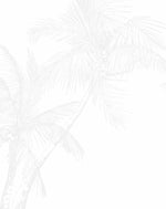 The Palms Wallpaper in Grey - Olive et Oriel