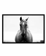 The Stare Art Print-PRINT-Olive et Oriel-Olive et Oriel-A5 | 5.8" x 8.3" | 14.8 x 21cm-Black-With White Border-Buy-Australian-Art-Prints-Online-with-Olive-et-Oriel-Your-Artwork-Specialists-Austrailia-Decorate-With-Coastal-Photo-Wall-Art-Prints-From-Our-Beach-House-Artwork-Collection-Fine-Poster-and-Framed-Artwork