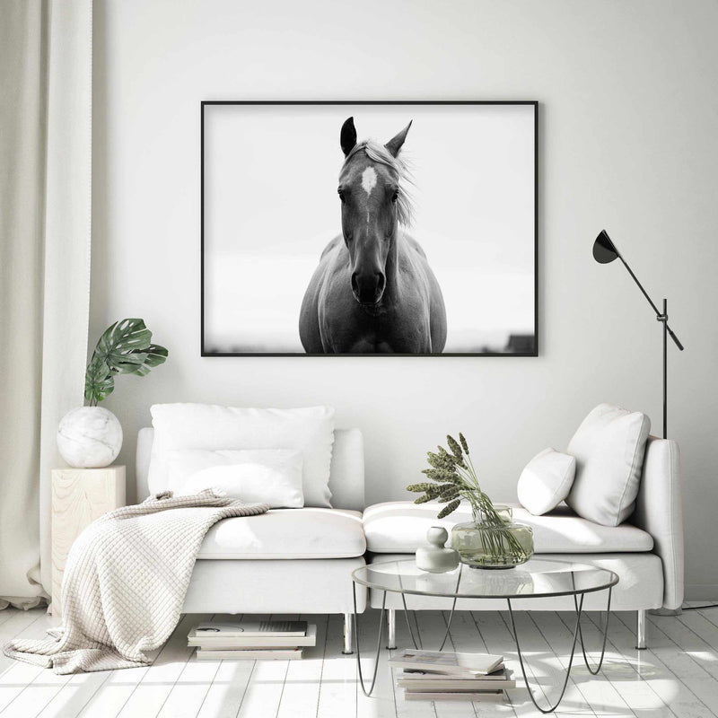 SHOP White Horse III Photographic Art Print or Poster. – Olive et Oriel